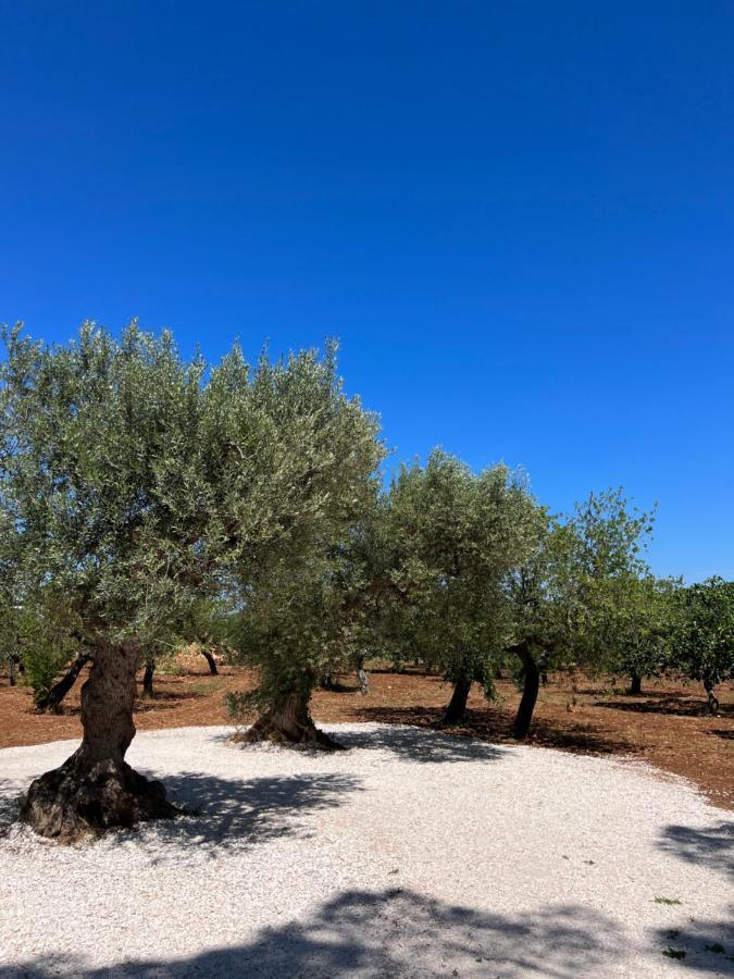 Masseria Concorrano Apartment Castellana Grotte Exterior photo